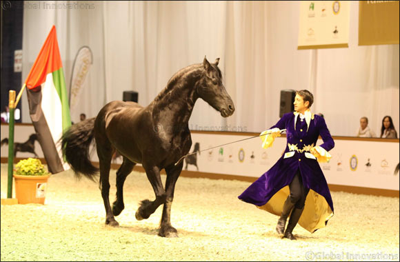 Dubai International Horse Fair draws global and regional community of horse enthusiasts