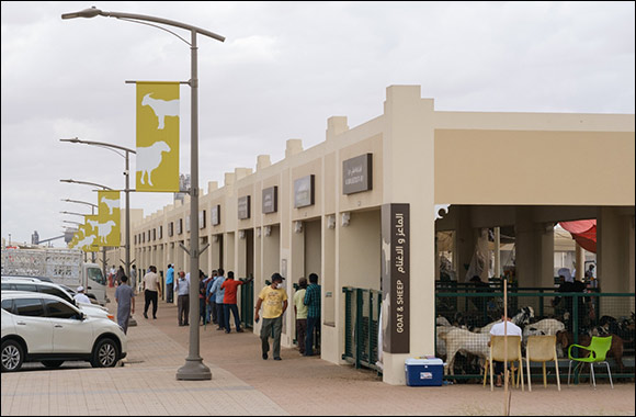 Sharjah Livestock Markets Receive 13,199 Visitors during Eid al-Adha