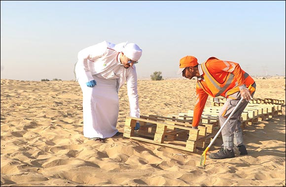 Dubai Attracts 4,791 Volunteers in First Half of 2023 to Maintain Clean and Sustainable Environment