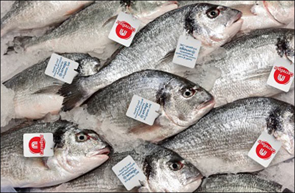 Carrefour Boosts Fresh Food Range with Crown Farms' Homegrown Seabream