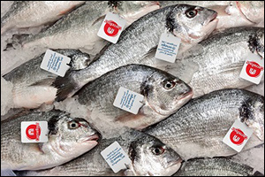Carrefour Boosts Fresh Food Range with Crown Farms' Homegrown Seabream