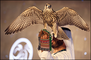 Abu Dhabi International Hunting and Equestrian Exhibition 2024 set to take its famous Falcon Auction ...