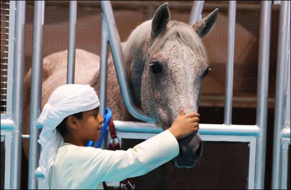 ADIHEX 2024: A celebration of equestrian excellence and cultural heritage