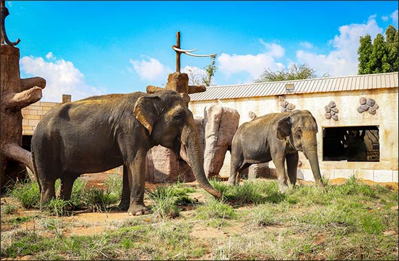 The era of modern zoo: transforming lives through rescue and rehabilitation at Emirates Park Zoo and Resort