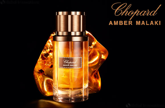 Amber Malaki, The New Addition to the Malaki Collection
