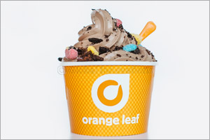 Two Spoons takes a leaf out of the global frozen yogurt success story