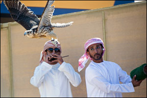 Fazza Championship for Falconry – Faroukh