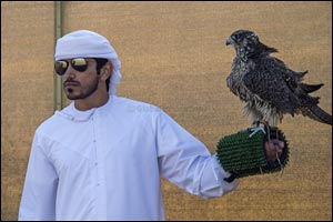 Fortnight-long Fakhr Al Ajyal ‘Pride of the Generation' Championship for Falconry will determine the two fastest birds in the Gulf
