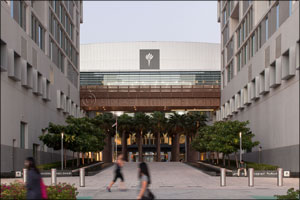 NYUAD Announces Recipients of Sheikh Mohamed bin Zayed Scholarship for Outstanding High School Students