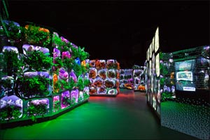 Sheikh Mohammed launches “Climate Change Reimagined”: An exhibition by Museum of the Future