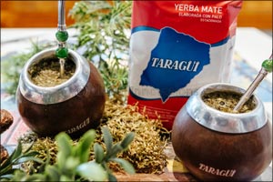 8 Reasons Why you will never drink green tea again