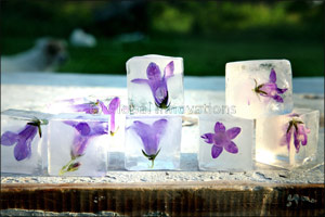 Ladies get ready to chill & learn all about Egg Freezing