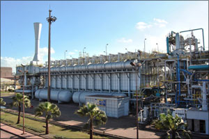 Siemens to digitalize Egypt's Al Ezz Dekheila Steel with industrial cloud tech for data analytics