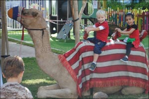 Pupils at Dubai Heights Academy mark 48th National Day with two days of traditional celebrations