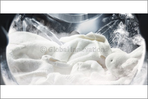 A More Hygienic Life With Steam Technology