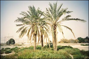 Emirati Visual Artist Hind Mezaina Sheds Light on an Unseen Dubai in First Solo Exhibition
