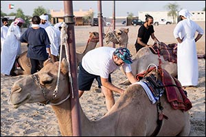 Hamdan Bin Mohammed Heritage Center announces:  Few days left before Registration closes for  Camel Trek Training