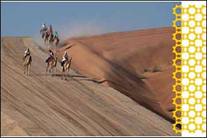 Camel Trekkers will Arrive TODAY at Expo 2020 Dubai