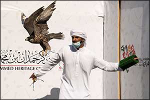200 Birds Race on Day 1 of Fazza Championship for Falconry in Dubai