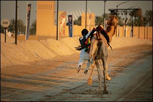 السعيدي يتوّج بالنسخة الأولى لبطولة "كاس فزاع للعرضة"