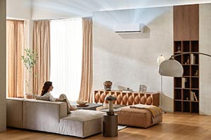 LG Aligns with UAE's Energy Conservation Goals, Championing Efficient Cooling Solutions