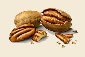 Why American Pecans are finding a place on UAE tables
