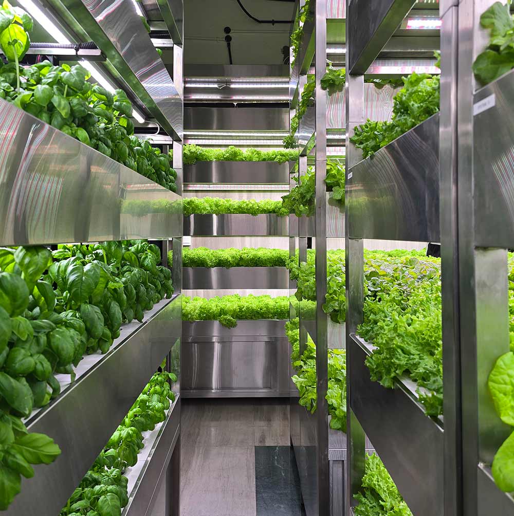 Dubai Municipality tours first vertical farm inside residential tower in Al Habtoor City as part of efforts to strengthen food security ecosystem