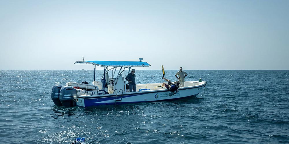 Environment Agency – Abu Dhabi completes oyster bed mapping survey across emirate's marine waters