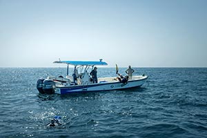 Environment Agency – Abu Dhabi completes oyster bed mapping survey across emirate's marine waters