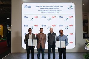 Silal Group Expands Blueberry Production in the UAE Through Partnership with IQ Berries