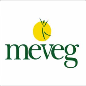 MEVEG Congress Promotes ‘Natural' and ‘Healthy' at MENOPE 2013*