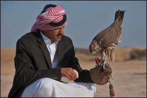 Qatari and Saudi Falconers Star in the GCC Categories at Fazza Championships for Falconry in Dubai