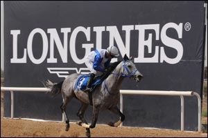 Longines provides a great conclusion to Sharjah's equestrian season with the Sharjah Ruler's Cup
