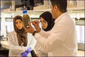 Masdar Institute's YFEL Members Gain Insights into Advancements in Desalination Technology