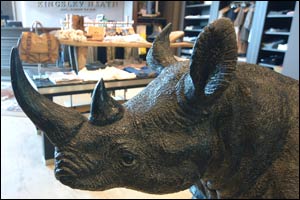 Kingsley Heath: Proud Supporter of World Rhino Day 2014